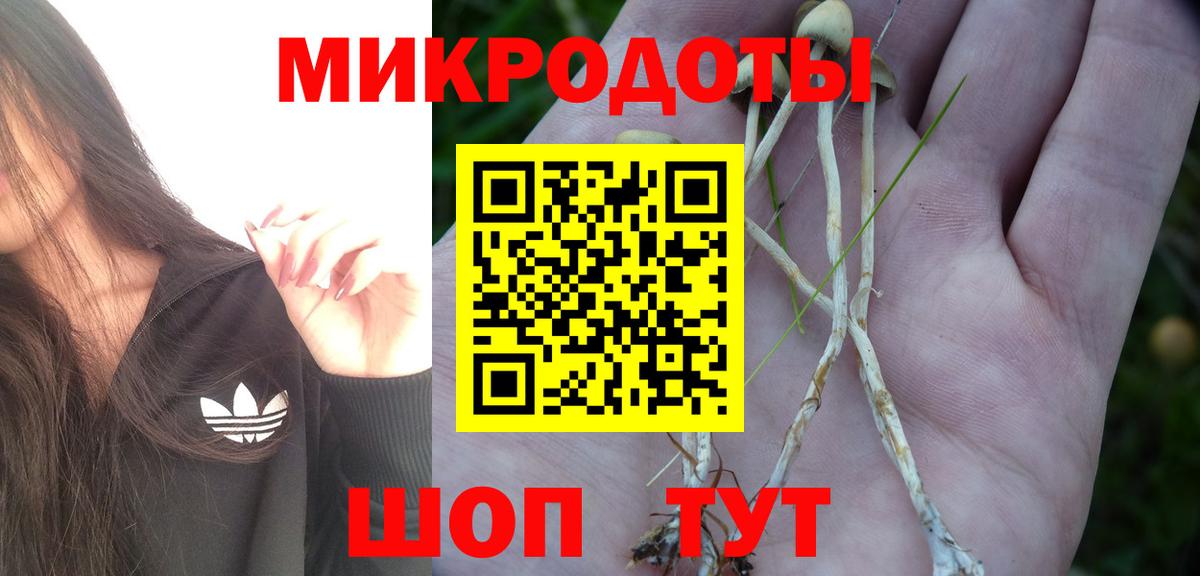 Псилоцибиновые грибы MAGIC MUSHROOMS Сланцы