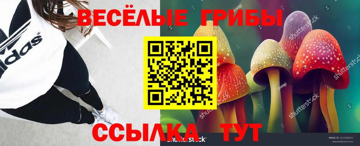 Псилоцибиновые грибы GOLDEN TEACHER  где найти наркотики  Сланцы  Вход с VPN  Галлюциногенные грибы прущие грибы 